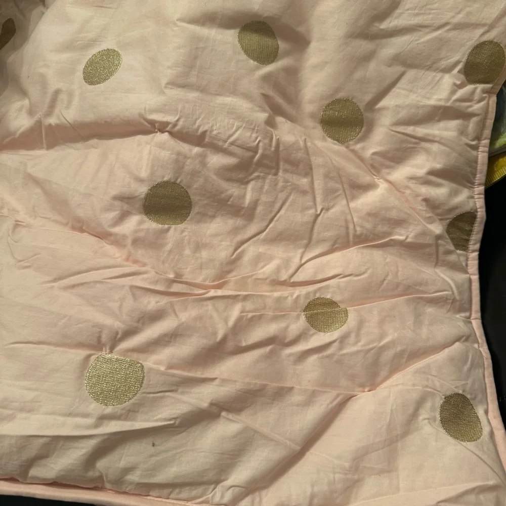 Pottery Barn Teen + EMILY & MERRITT, Gold Dot  ~ Euro  Sham